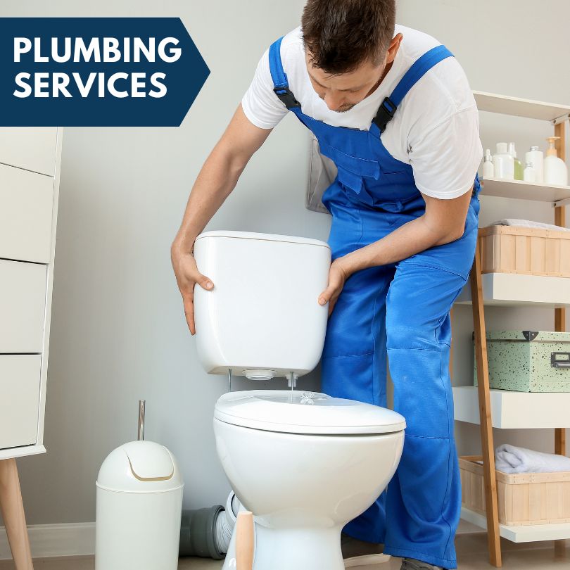Plumbing Company in Swatara, MN